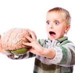 Your Brain Controls You