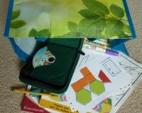 “Are We There Yet?!”  How To Keep Kids Entertained and Organized on a Road Trip