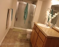 Organize Your Bathroom Easy and FAST!