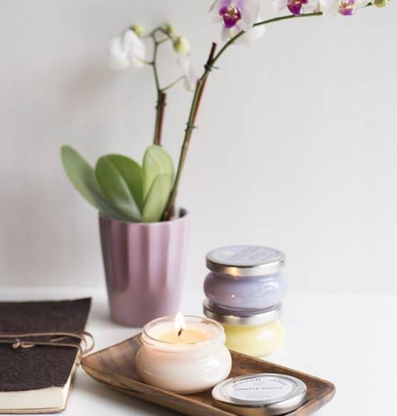 How to Clean Your House in 30 Minutes or Less The Organized Mom