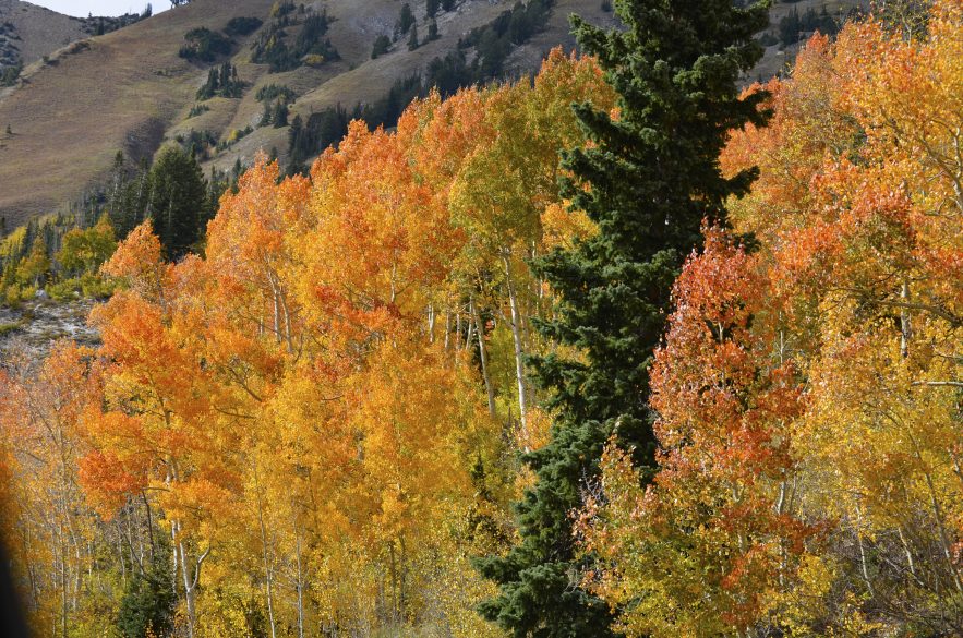 cecret-lake-fall-colors