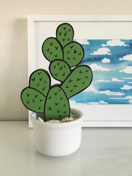 cactus decor