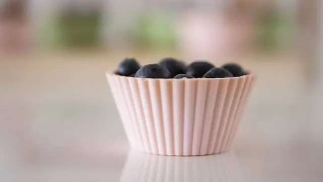 blueberry pancake muffins plant based