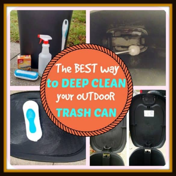 Deep Clean Your Trashcan The Organized Mom