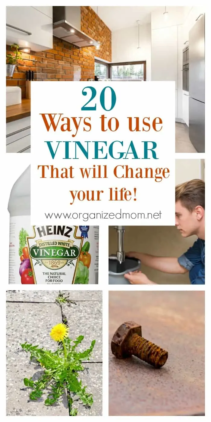 20 Ways to use vinegar that will change your life