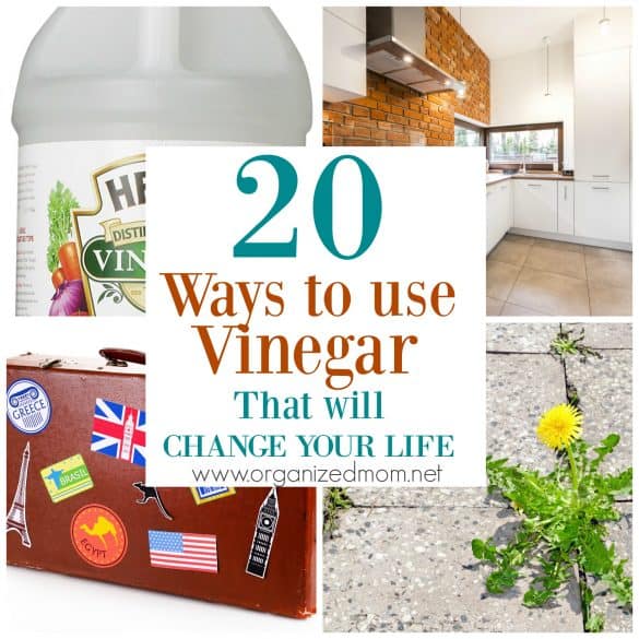 20 ways to use vinegar that will change your life