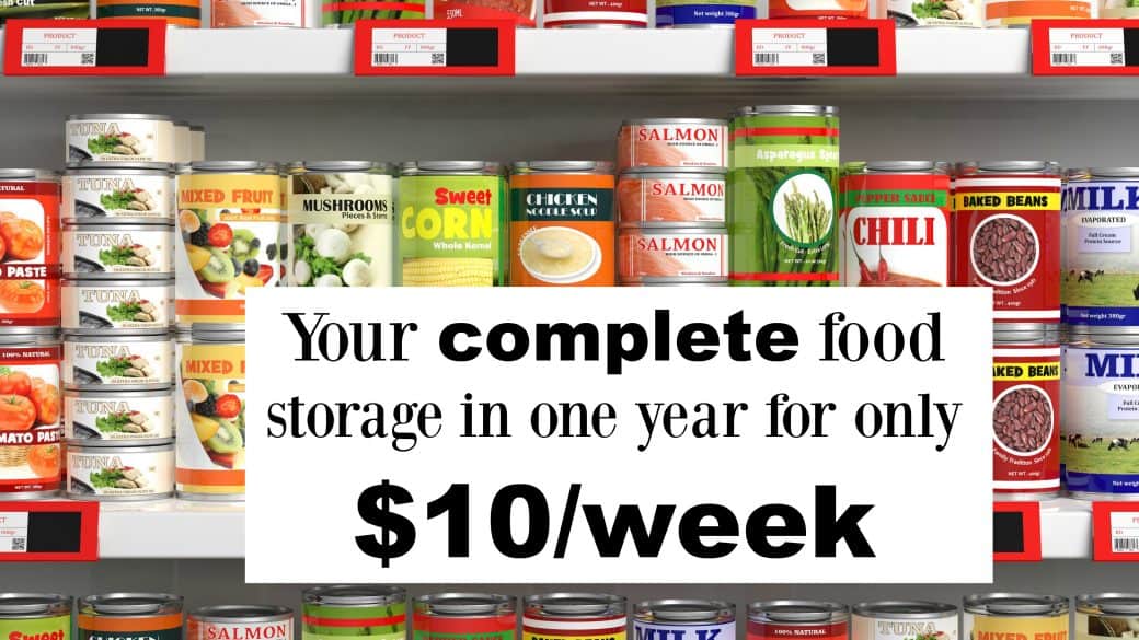 food storage in 1 year with a printable checklist