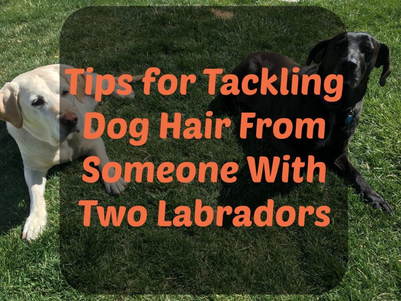 tackling dog hair