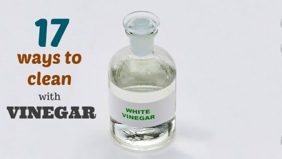 distilled white vinegar