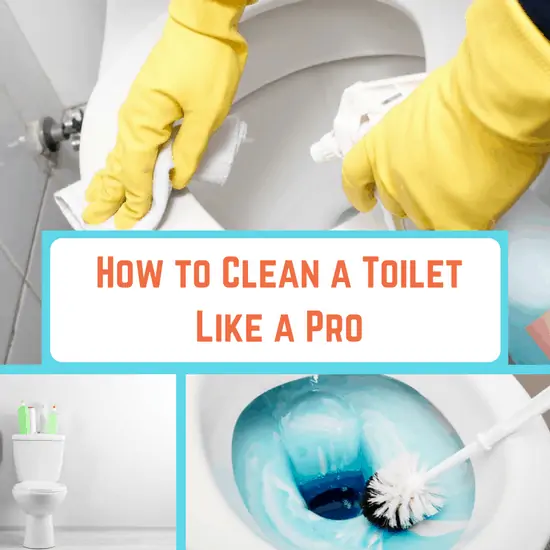clean a toilet
