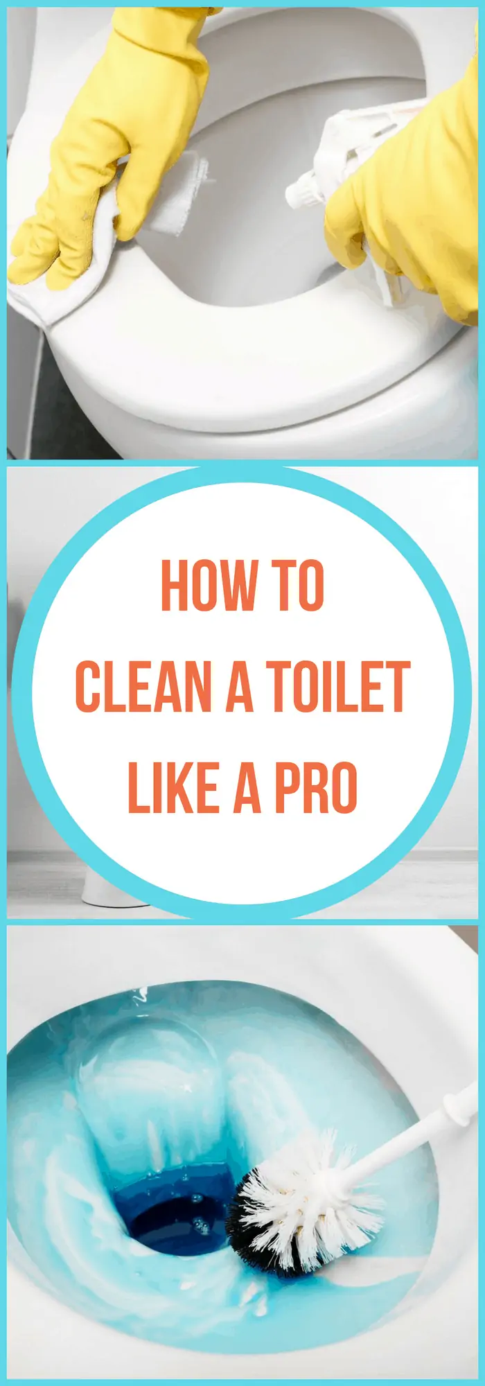 clean a toilet