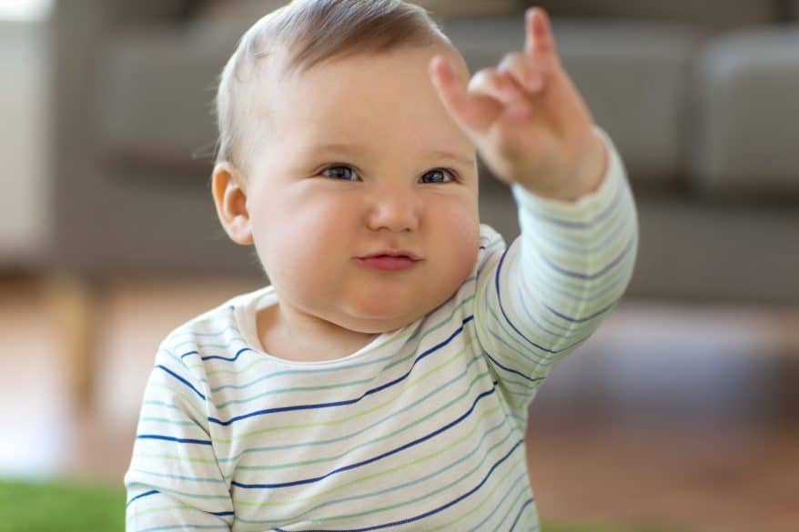 baby sign language