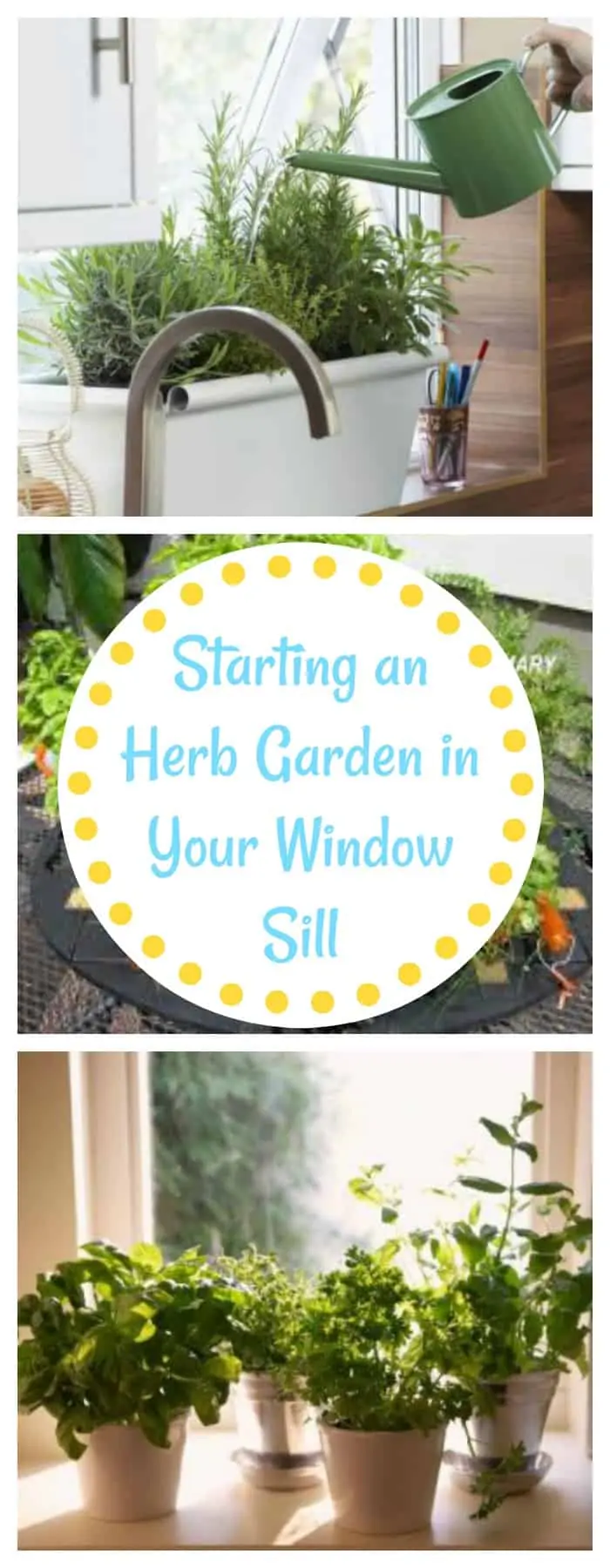 herb garden