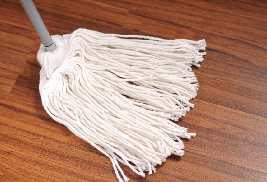 Dust mop