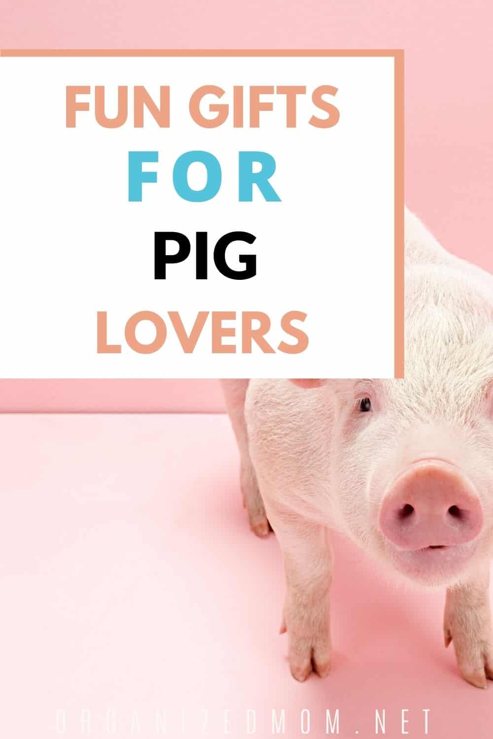 Quirky Gifts for the Pig Lover The Organized Mom