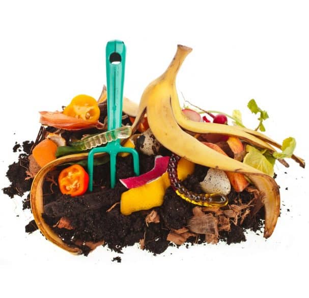 compost