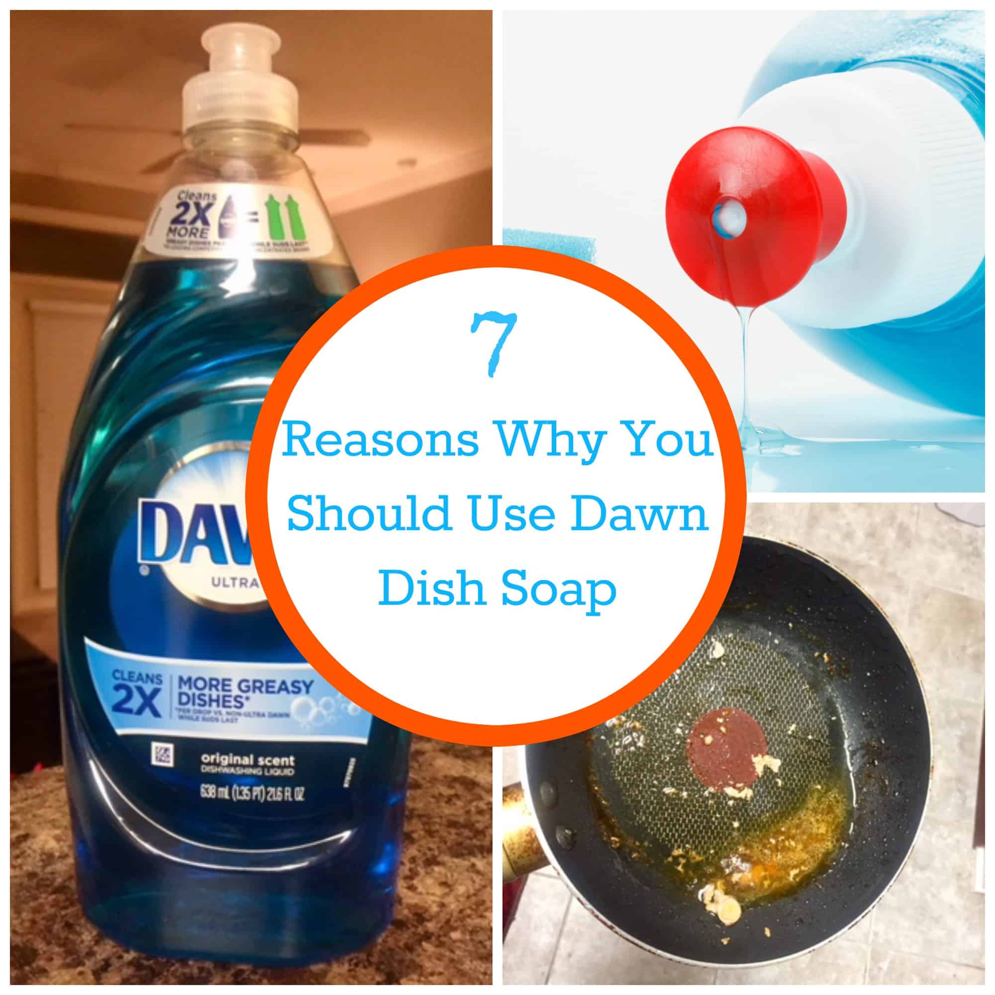 dawn dish soap to wash dog