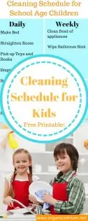 cleaning schedule pin