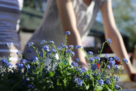 gardening