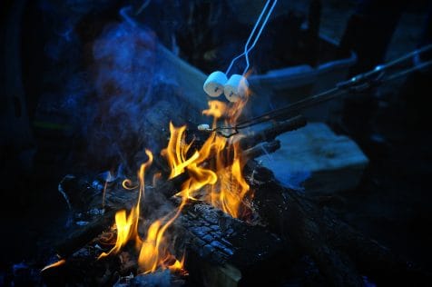 roasting marshmallows