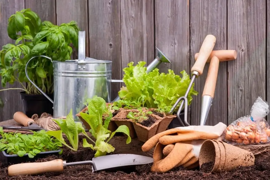 preparing your garden