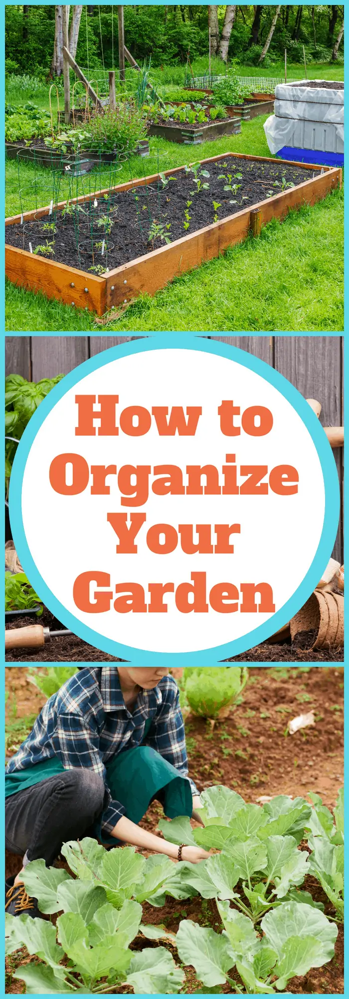 How to Organize your Garden