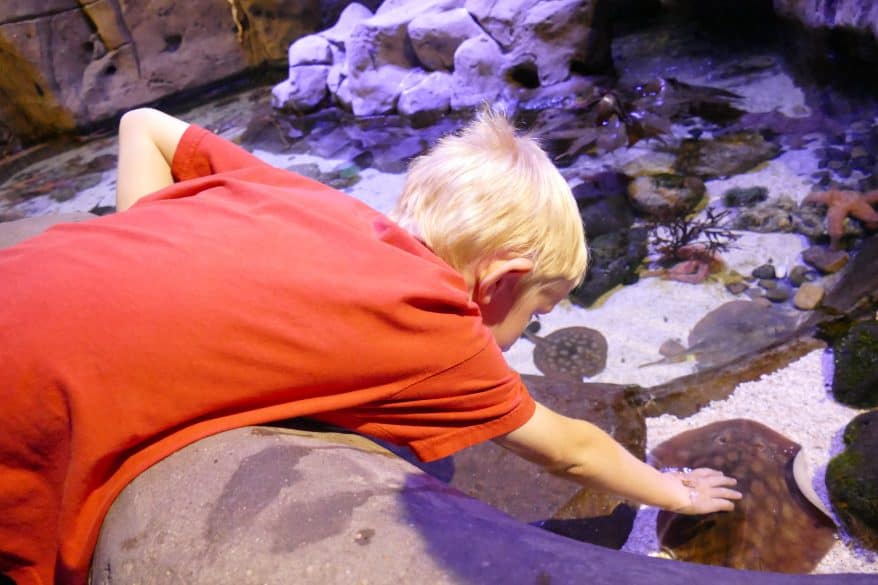 hands on aquarium