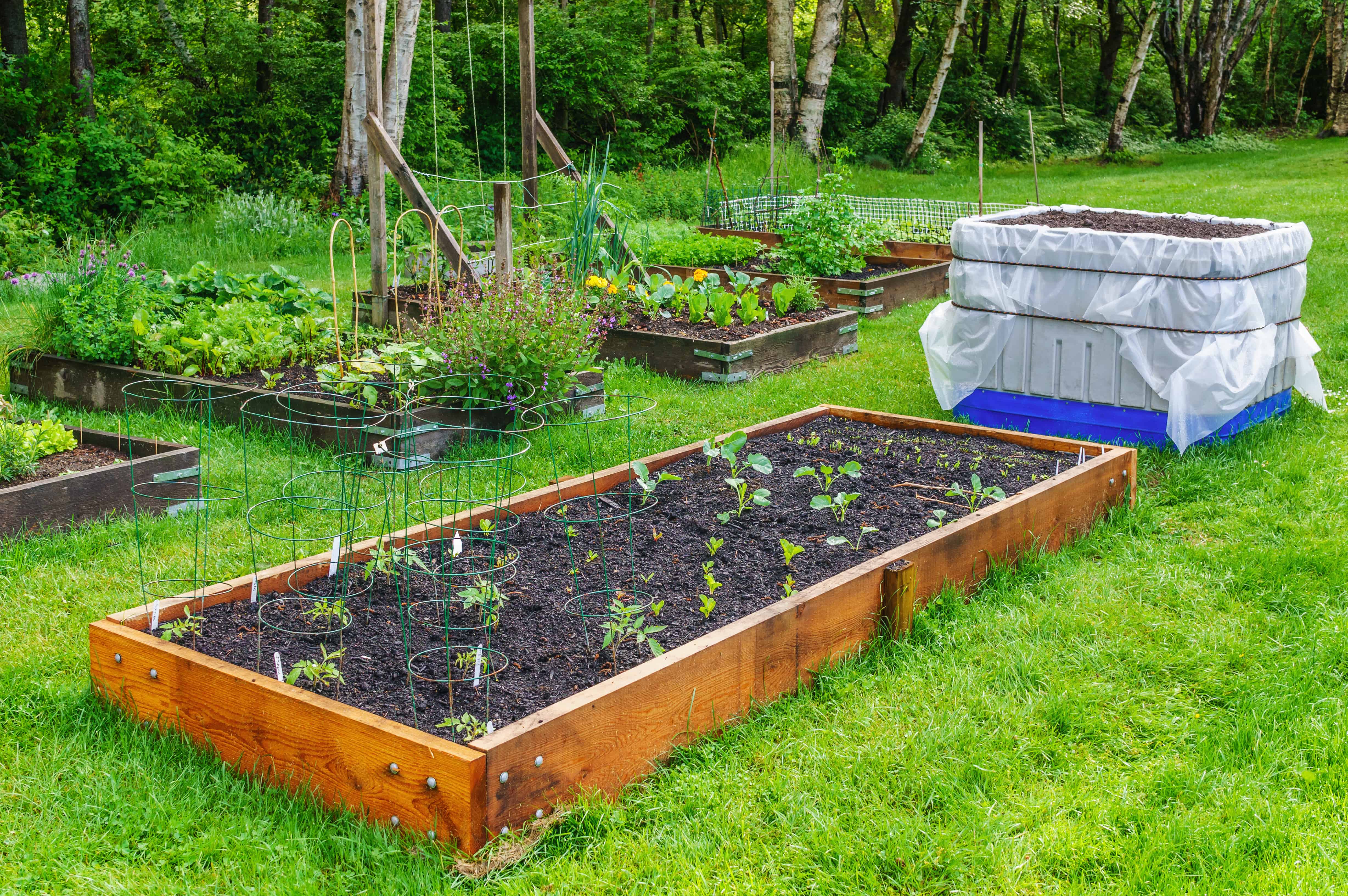 How to Organize Your Backyard Vegetable Garden - The Organized Mom