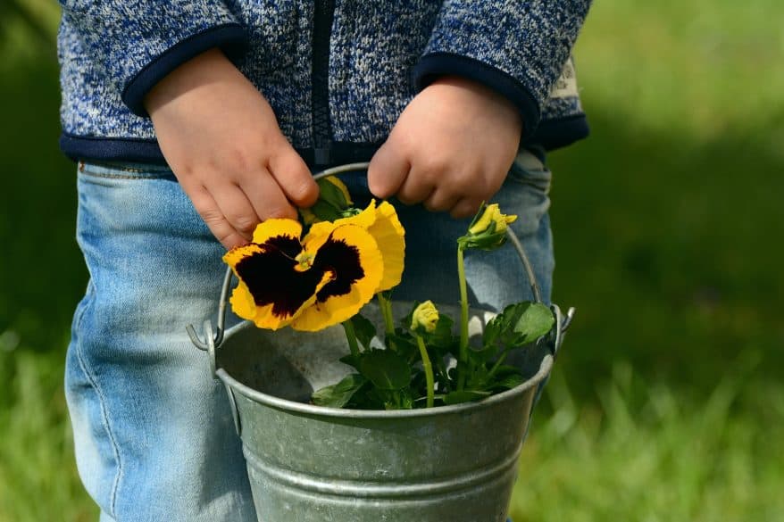 plant flowers with kids