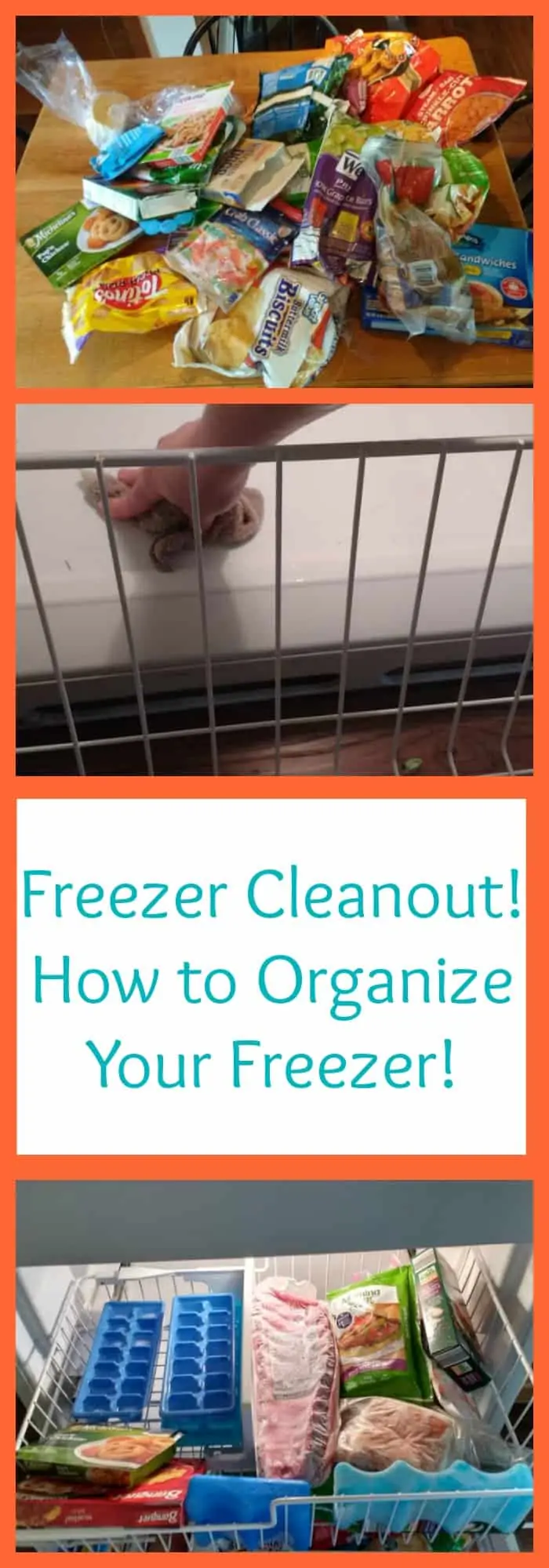 Freezer Cleanout--How to Organize Your Freezer