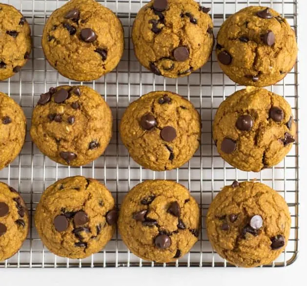 pumpkin blender muffins