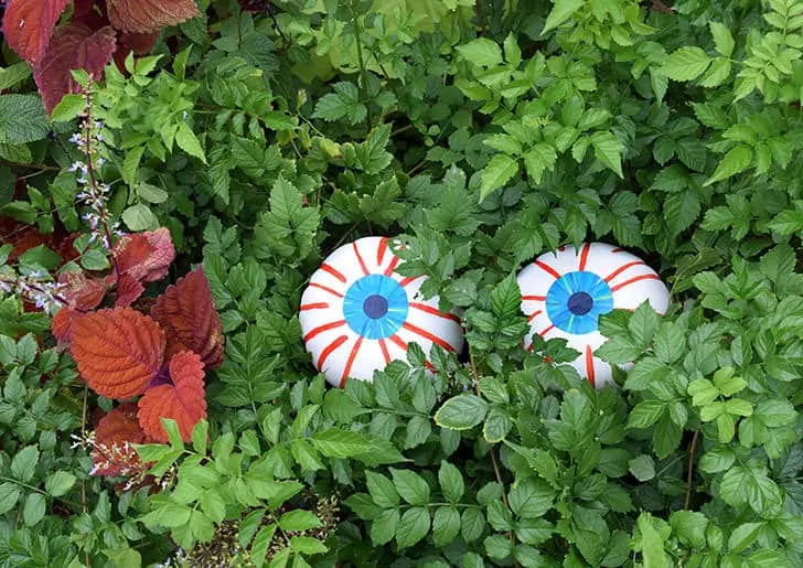 no carve eye ball pumpkins