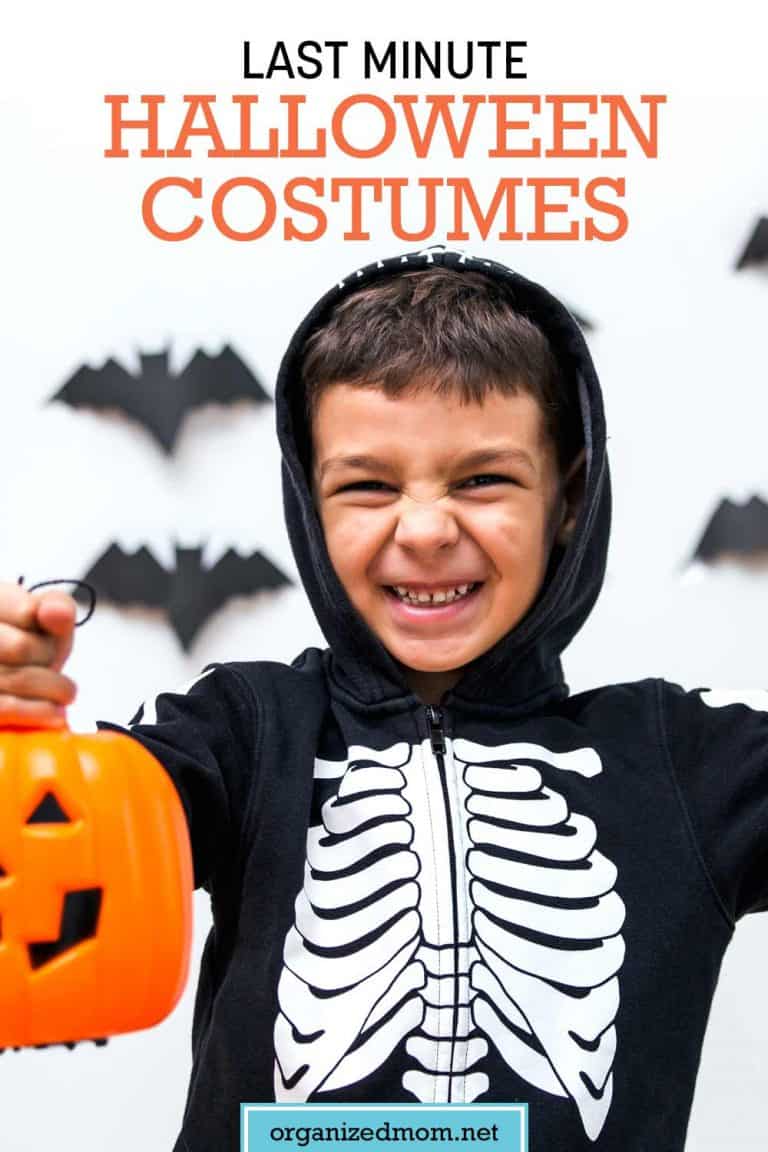 Last Minute Halloween Costumes For Kids The Organized Mom