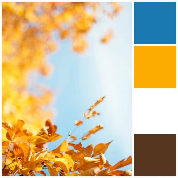 Blue, Mustard, White, Brown