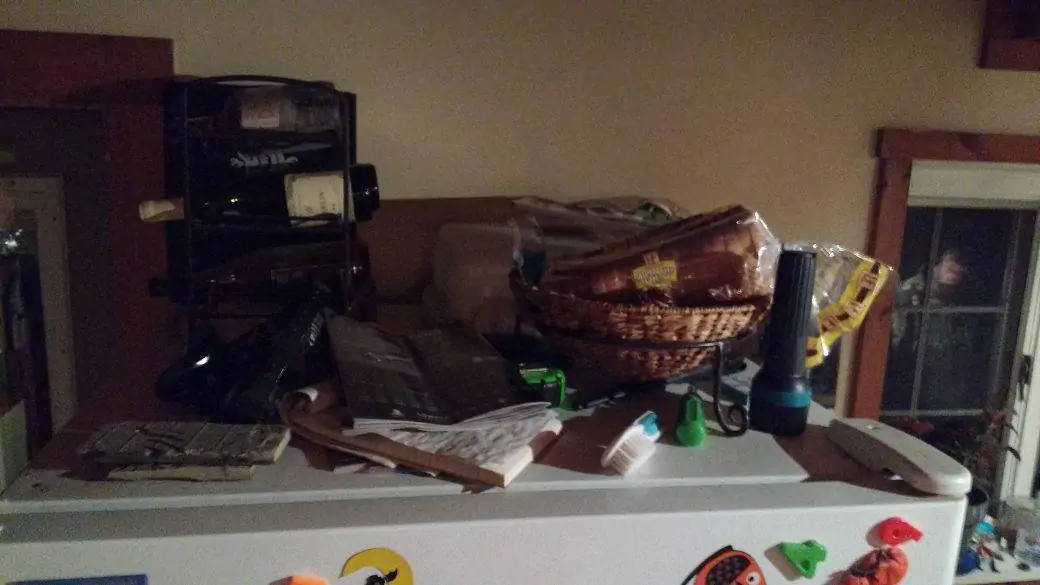 clean and organized fridge