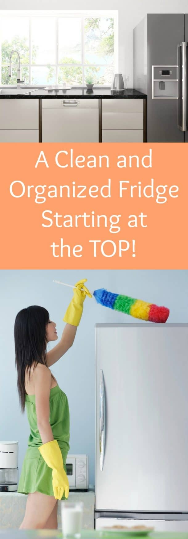 A Clean and Organized FridgeStarting at the Top! The Organized Mom