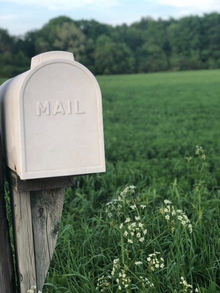 organize your mail