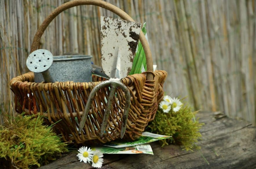 easter basket gardening