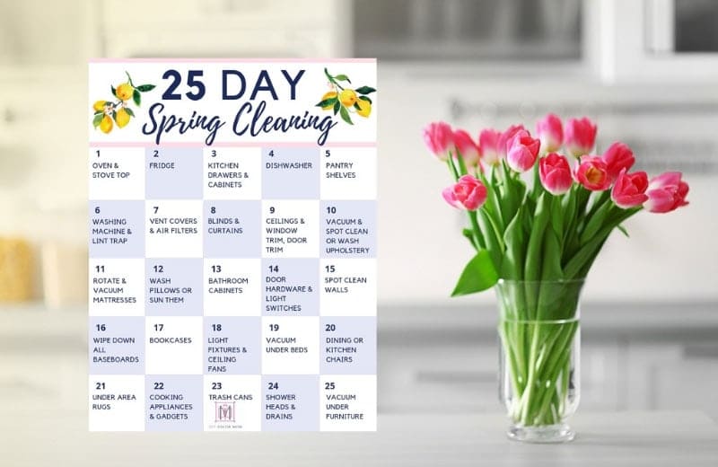 spring cleaning printables