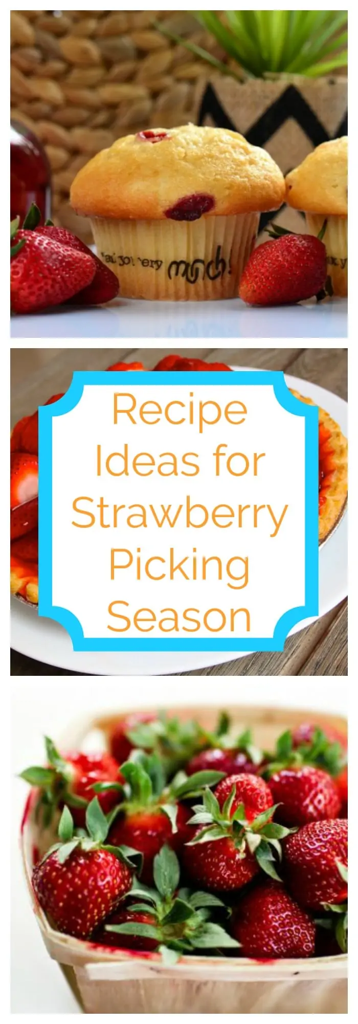 Recipe Ideas for Strawberry Picking Season