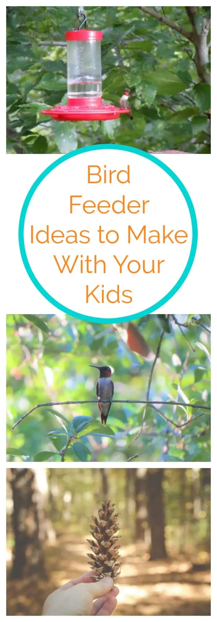 Bird Feeder Ideas to Make With Your Kids