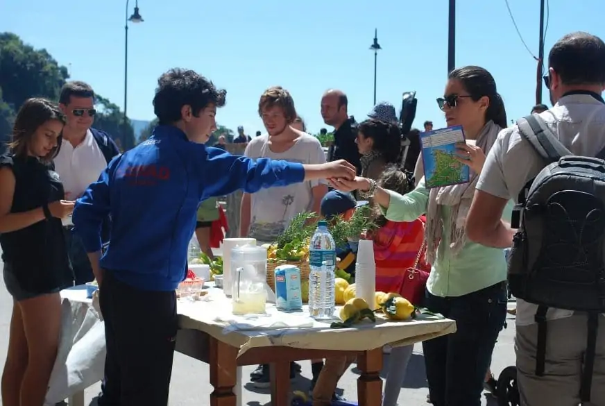 set up a lemonade stand