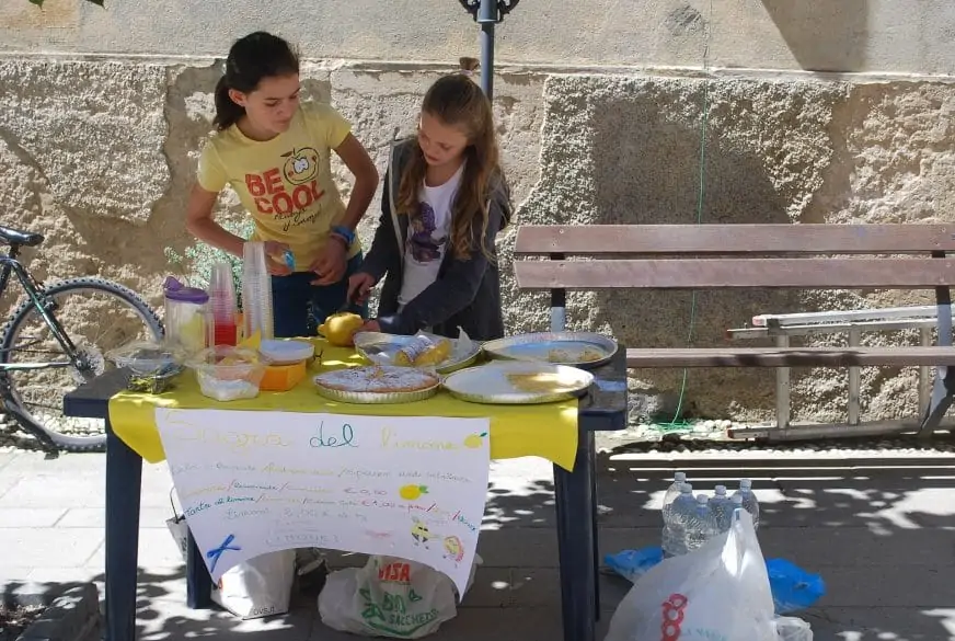 diy lemonade stand