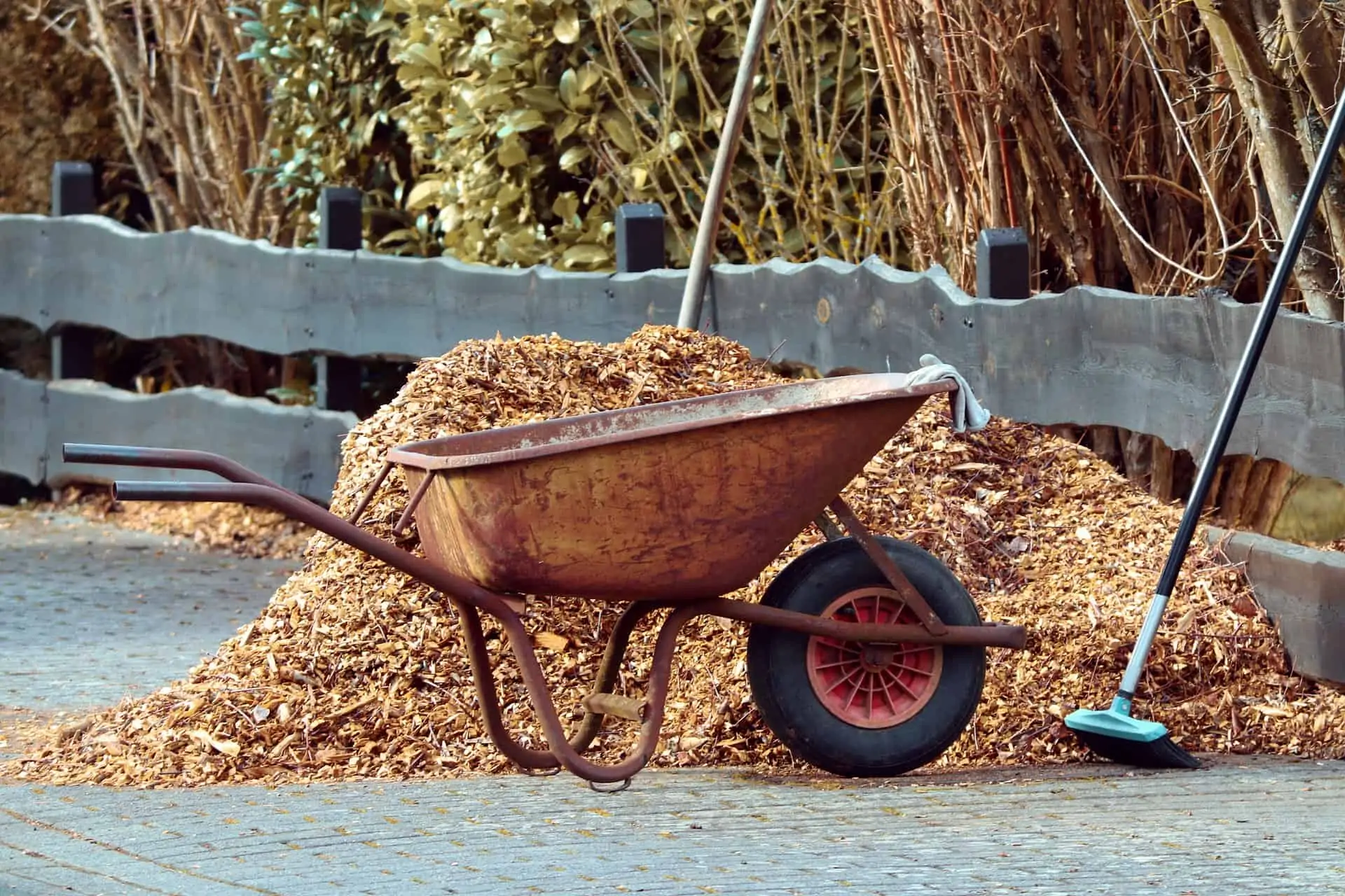 preventing weeds