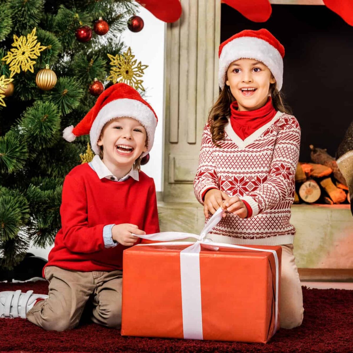 Simple Tips for a PreChristmas Purge The Organized Mom