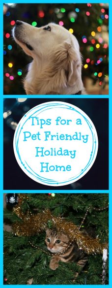 Tips for a Pet Friendly Holiday Home