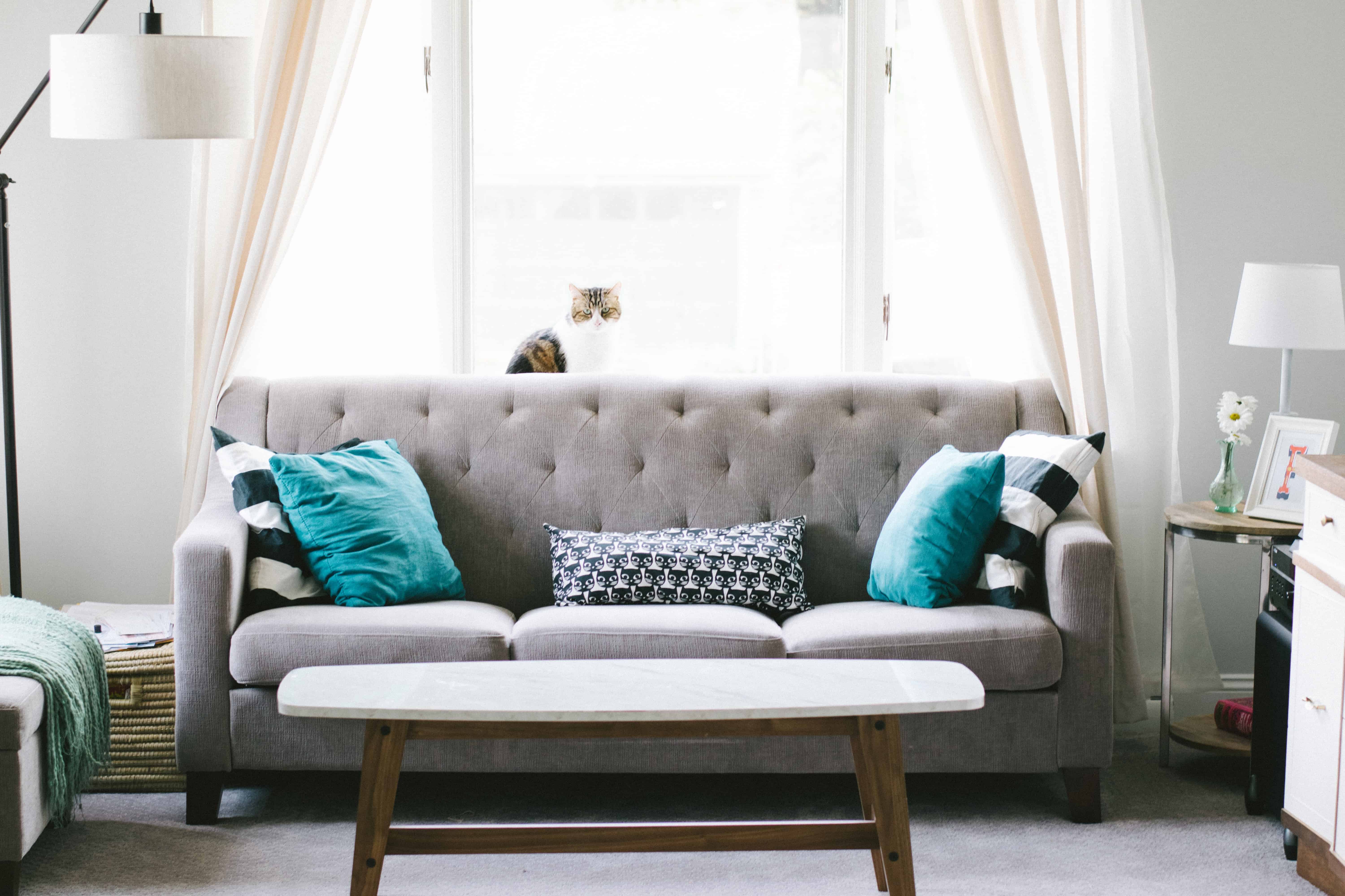 dust-free home