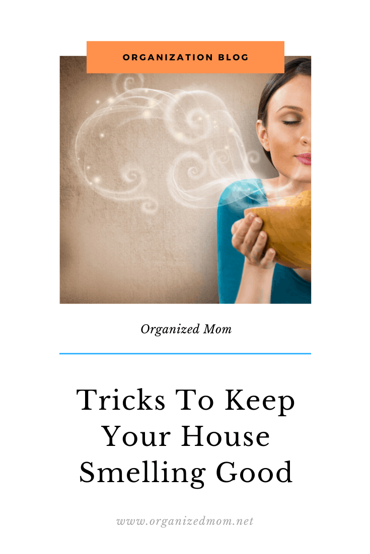 Tricks To Keep Your House Smelling Good The Organized Mom