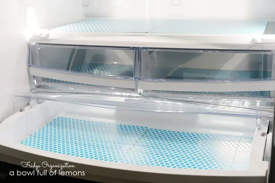 Freezer Organization  A Bowl Full of Lemons