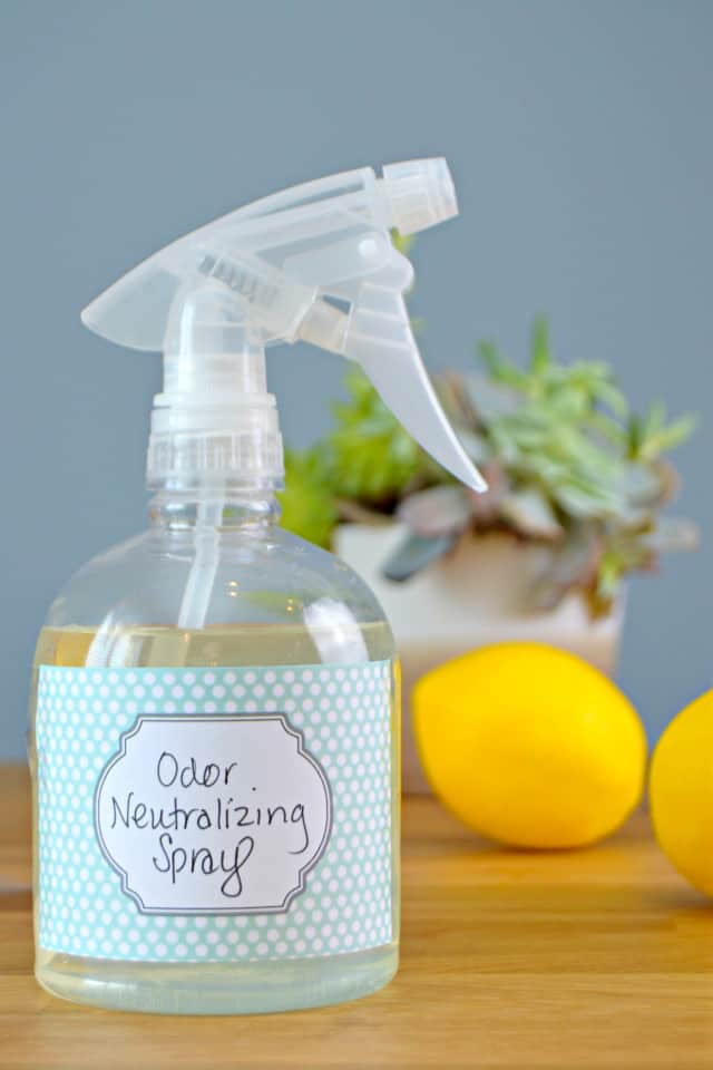 How To Deodorize Stinky Stuff The Organized Mom